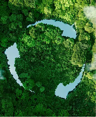 Green Product Innovation